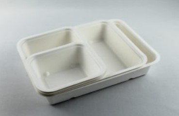 bio trays